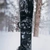 Burton Family Tree Hometown Hero Splitboard