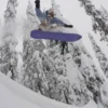 Burton One World Family Tree Backseat Driver Snowboard