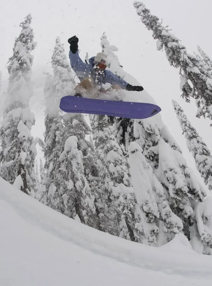 Burton One World Family Tree Backseat Driver Snowboard