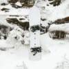 Snowboard Burton Family Tree 3D Deep Daze Snowboard Burton Family Tree 3D Deep Daze