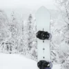 Snowboard Burton Family Tree 3D Double Dog Camber Snowboard Burton Family Tree 3D Double Dog Camber