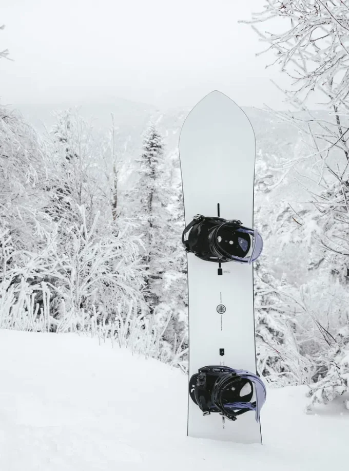 Snowboard Burton Family Tree 3D Double Dog Camber Snowboard Burton Family Tree 3D Double Dog Camber