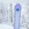 Snowboard Burton Family Tree 3D Double Dog Camber Snowboard Burton Family Tree 3D Double Dog Camber