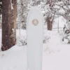 Snowboard Burton Family Tree Backseat Driver Pow Surfing