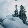 Snowboard Burton Family Tree Big Gulp Camber Snowboard Burton Family Tree Big Gulp Camber