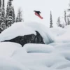 Snowboard Burton Family Tree Hometown Hero Camber