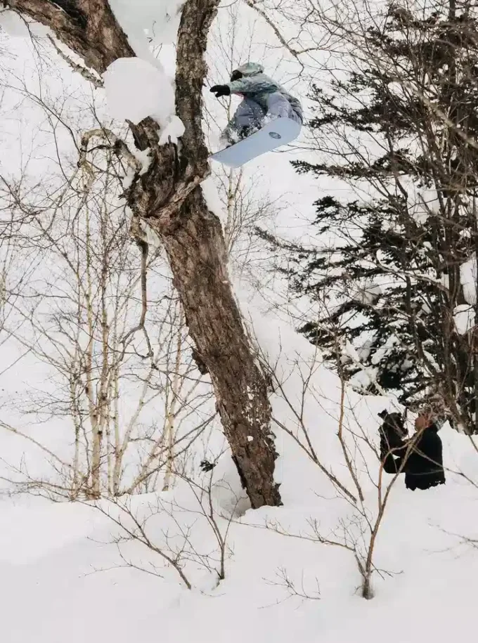 Snowboard Burton Family Tree Hometown Hero Camber Snowboard Burton Family Tree Hometown Hero Camber