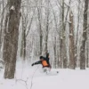 Snowboard Burton Family Tree Resonator Pow Surfing Snowboard Burton Family Tree Resonator Pow Surfing