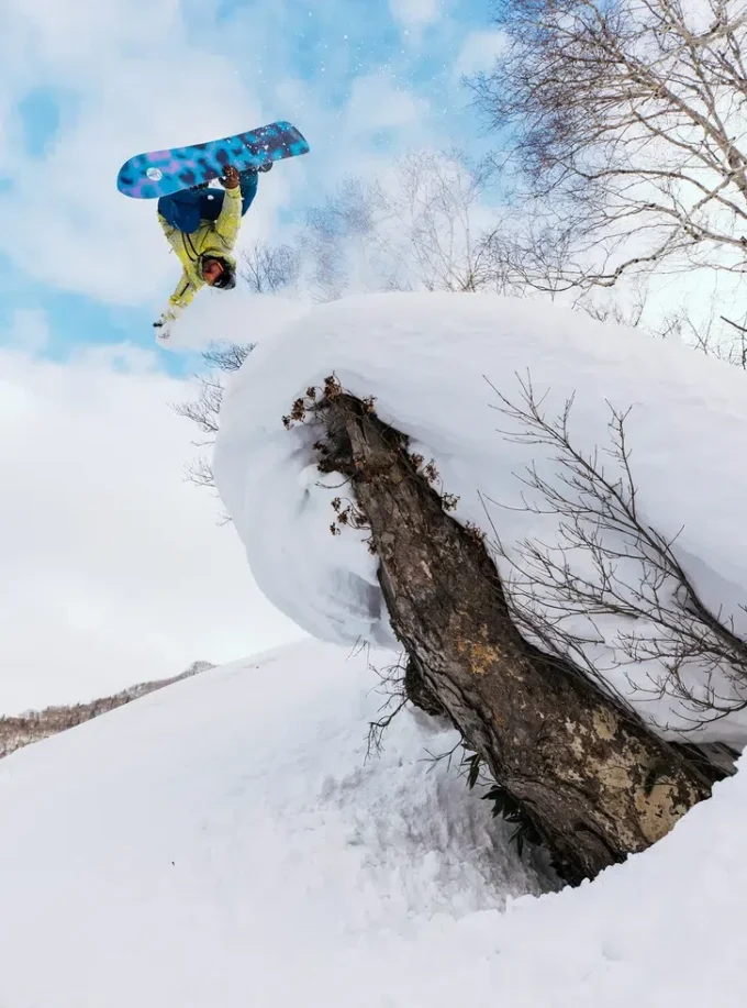 Snowboard Burton Family Tree Sketch Artist Camber