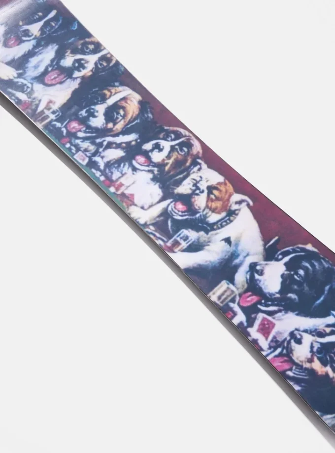 Snowboard Burton Good Company Camber Snowboard Burton Good Company Camber