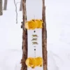 Snowboard Burton Process Camber pour homme Snowboard Burton Process Camber pour homme