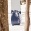 Snowboard Burton Yeasayer Flying V pour femmes