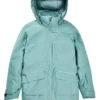 Veste Burton Treeline GORE-TEX 2L pour femme (échantillon)